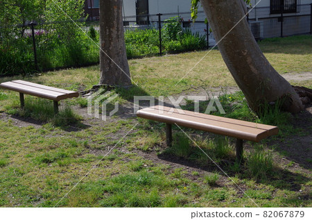 Two benches in the park 82067879
