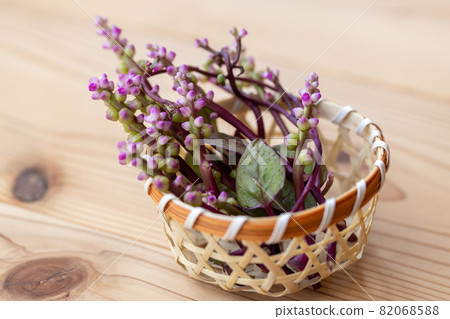 Flower buds of Malabar spinach in a basket 82068588