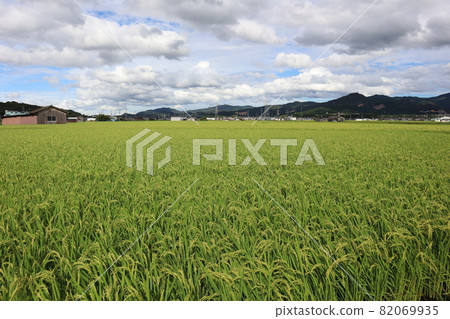 A landscape of rice fields, huts, a town with many private houses, mountains and a cloudy sky A landscape of rice fields, huts, a town with many private houses, mountains and a cloudy sky 82069935
