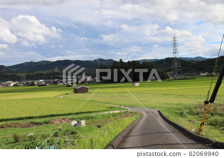 Winding farm roads, huts, guardian forests, towns with many private houses, steel towers, electric wires, mountains, and a cloudy sky between the rice fields that have begun to color. Winding farm roads, huts, guardian forests, towns with many private houses, steel towers, electric wires, mountains, and a cloudy sky between the rice fields that have begun to color. 82069940
