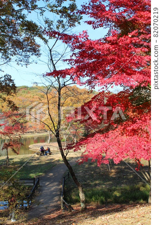 秋葉色的北山公園 笠間市 82070219