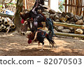 al Java/Indonesia-August 12, 2018: Cockfighting is a game of fighting two chickens in an arena until one of the chickens runs away or loses 82070503