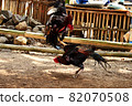 al Java/Indonesia-August 12, 2018: Cockfighting is a game of fighting two chickens in an arena until one of the chickens runs away or loses 82070508