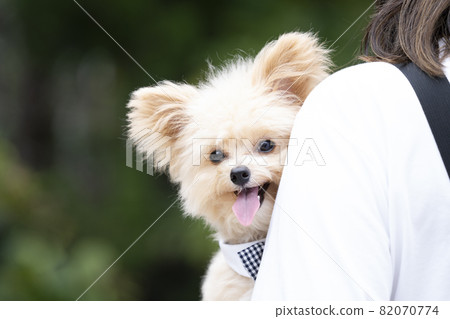 Bust up of Chiwapu who is embraced by a woman and smiles 82070774