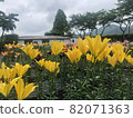 Lily flower 82071363