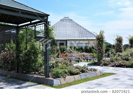 岩見澤公園玫瑰園（北海道岩見澤市） 82071921