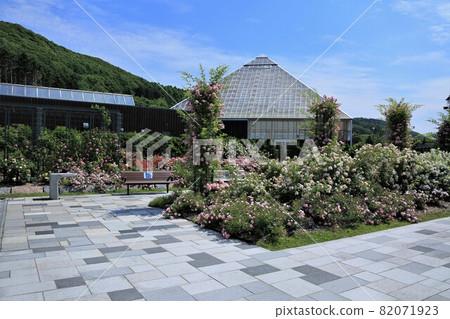 Iwamizawa Park Rose Garden (Iwamizawa City, Hokkaido) Iwamizawa Park Rose Garden (Iwamizawa City, Hokkaido) 82071923