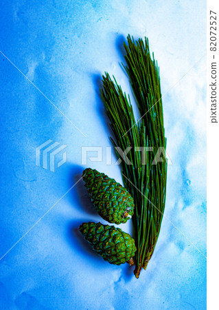 松葉松葉 82072527