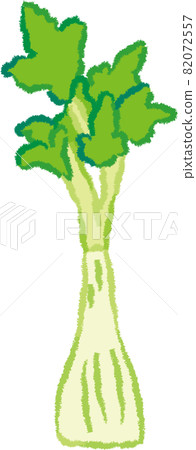 celery celery 82072557