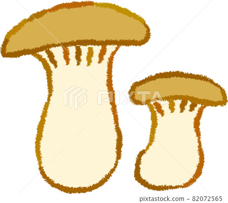 杏鮑菇 杏鮑菇 82072565