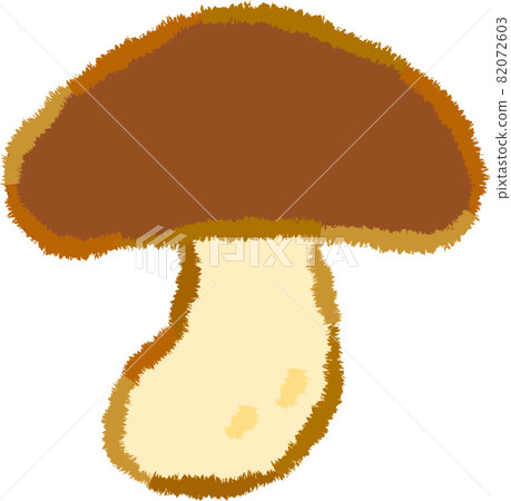 Shiitake mushroom 82072603