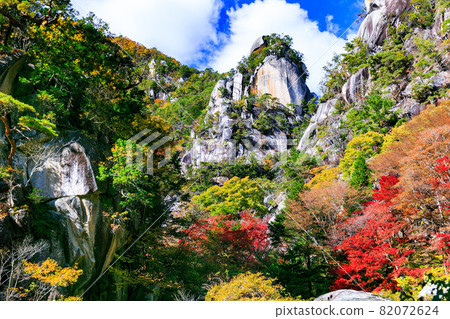 Autumn leaves of Mitake Shosenkyo, Kofu City, Yamanashi Prefecture Autumn leaves of Mitake Shosenkyo, Kofu City, Yamanashi Prefecture 82072624
