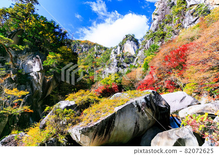 Autumn leaves of Mitake Shosenkyo, Kofu City, Yamanashi Prefecture Autumn leaves of Mitake Shosenkyo, Kofu City, Yamanashi Prefecture 82072625