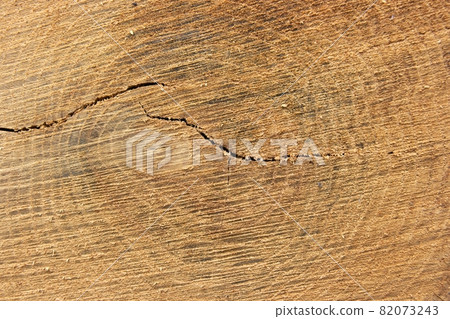 Trunk Trunk 82073243