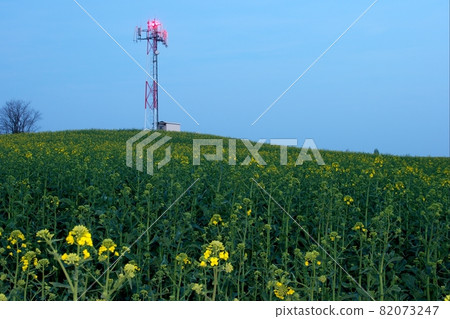Transmitter Transmitter 82073247