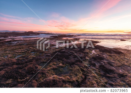 Botanical Beach on the West Coast of Pacific Ocean. 82073965