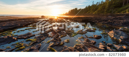 Botanical Beach on the West Coast of Pacific Ocean. Botanical Beach on the West Coast of Pacific Ocean. 82073980