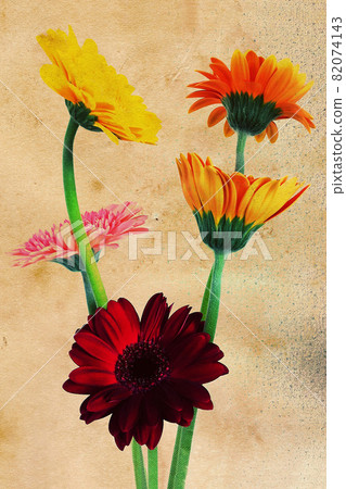 Postcard flower illustration Postcard flower illustration 82074143