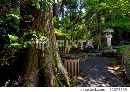 熊野古道，大門坂，寂靜的古道和燈籠，寂靜的日本風景，和歌山縣那智勝浦町 (2) 82074289