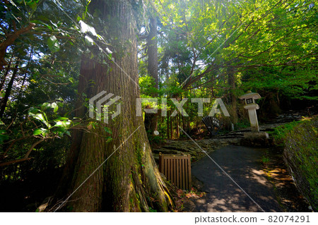 熊野古道，大門坂，寂靜的古道和燈籠，寂靜的日本風景，和歌山縣那智勝浦町 (4) 82074291
