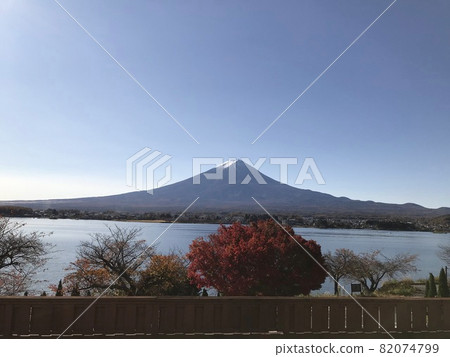 Mt. Fuji in autumn, Lake Kawaguchi ⑤ Mt. Fuji in autumn, Lake Kawaguchi ⑤ 82074799