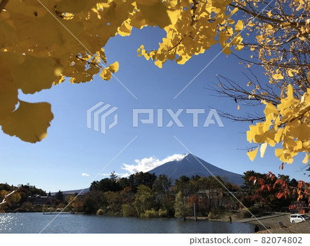 Mt. Fuji in autumn, Lake Kawaguchi ⑧ Mt. Fuji in autumn, Lake Kawaguchi ⑧ 82074802