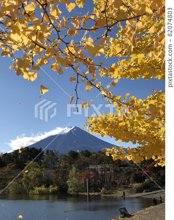 秋天的富士山,河口湖⑨ 秋天的富士山,河口湖⑨ 82074803