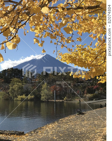 Mt. Fuji in autumn, Lake Kawaguchi ⑩ Mt. Fuji in autumn, Lake Kawaguchi ⑩ 82074804