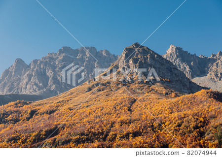 Mountains and autumnal tress on cliffs. Alpine landscape in Swiss 82074944