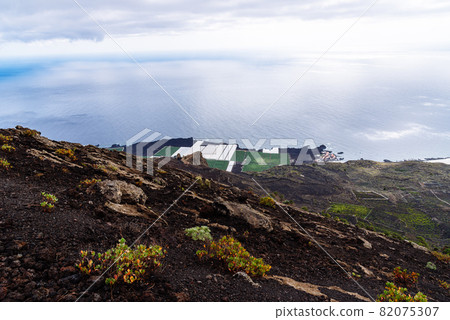 Banana plantation with greenhouses in a volcanic landscape in La Palma 82075307