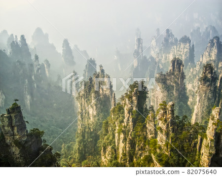Zhangjiajie, China Wulingyuan, Zhangjiajie, China 82075640