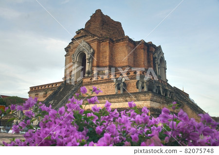wat chedi luang temple at chiang mai Thailand wat chedi luang temple at chiang mai Thailand 82075748