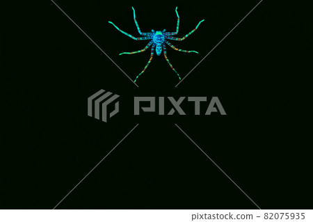 Spider green Spider green 82075935