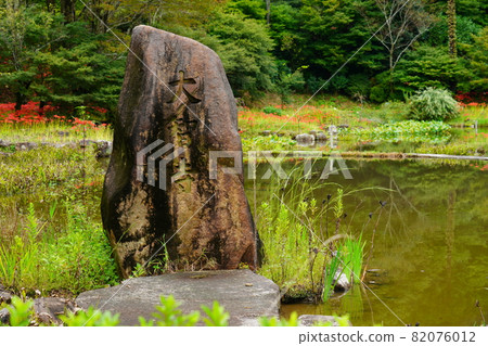 Tokutsuki Pond and cluster amaryllis at Daichiji Temple after the rain 82076012