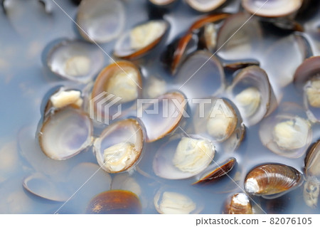 Up of freshwater clam juice Up of freshwater clam juice 82076105