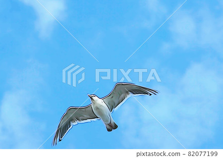 Pastel style "seagull flying in the sky" illustration image Pastel style "seagull flying in the sky" illustration image 82077199