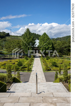 中之城結園 82077630
