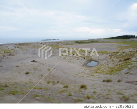 水坑和沙地西洋鏡 82080628