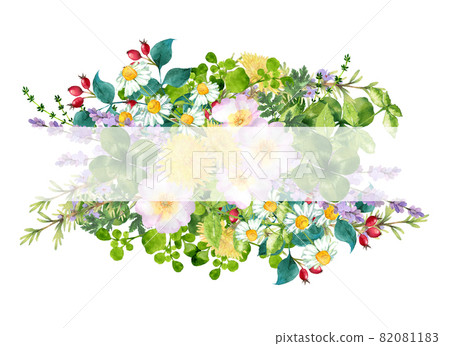 Watercolor herb frame 82081183