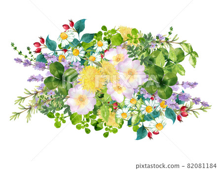 Gorgeous bouquet of various herbs watercolor illustration 82081184