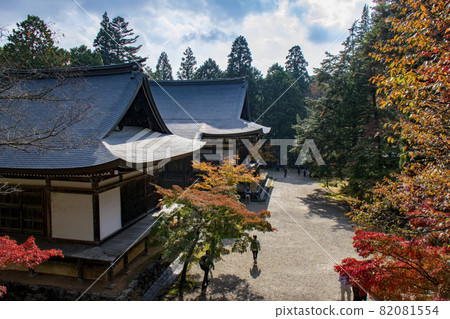 Jingoji Temple Kyoto Autumn Leaves 82081554