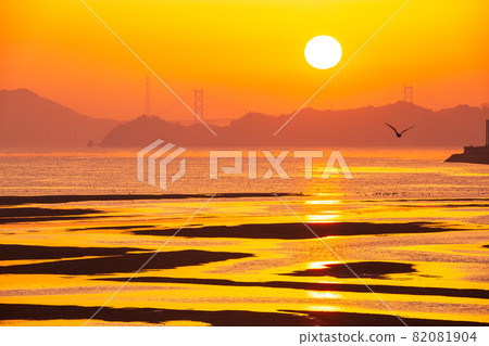 Morning glow on tidal flats in the Seto Inland Sea, Numata River estuary, Mihara City, Hiroshima Prefecture Morning glow on tidal flats in the Seto Inland Sea, Numata River estuary, Mihara City, Hiroshima Prefecture 82081904
