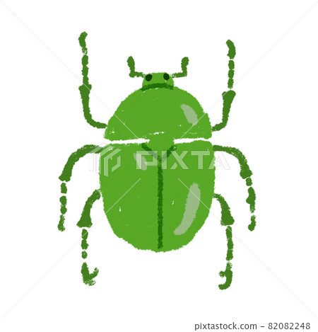 Scarab beetle illustration material 82082248