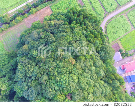 茂密的森林/田野-無人機鳥瞰圖(福島縣會津若松市豬苗代湖/西岸/湊町大座赤井屋敷) 茂密的森林/田野-無人機鳥瞰圖(福島縣會津若松市豬苗代湖/西岸/湊町大座赤井屋敷) 82082532