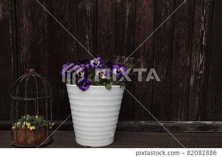 Cafe / restaurant store display 82082886