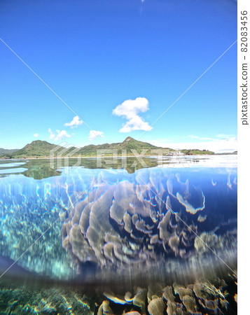 Sea of Ishigaki Island 82083456