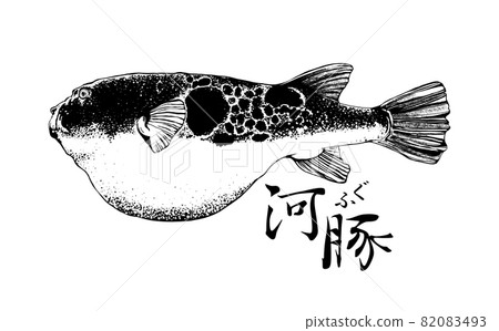 Illustration of blowfish Illustration of blowfish 82083493