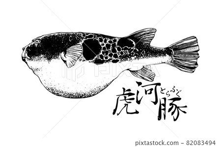 河豚的插圖 82083494