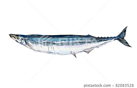 Illustration of autumn sword fish Illustration of autumn sword fish 82083528