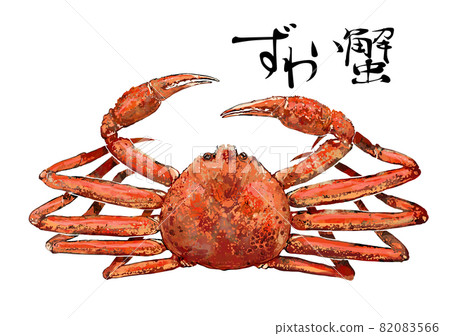 Illustration of snow crab Illustration of snow crab 82083566